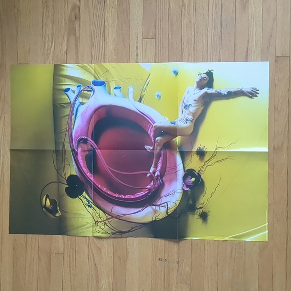 Harry Styles poster - Picture 2 of 3